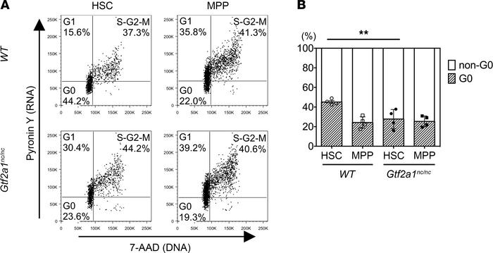 Aberrant cell cycle profile of Gtf2a1nc/nc hematopoietic stem cells.
Cel...