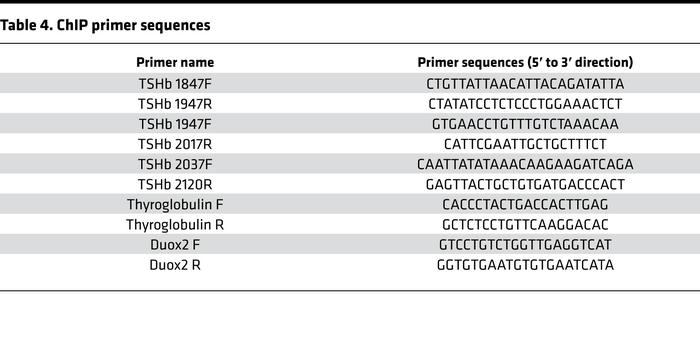 ChIP primer sequences