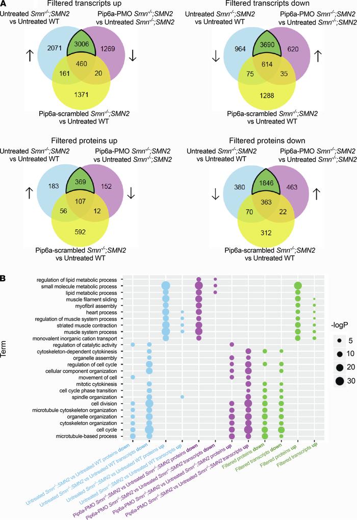 Identification of disease signal reversed by treatment with Pip6a-PMO by...