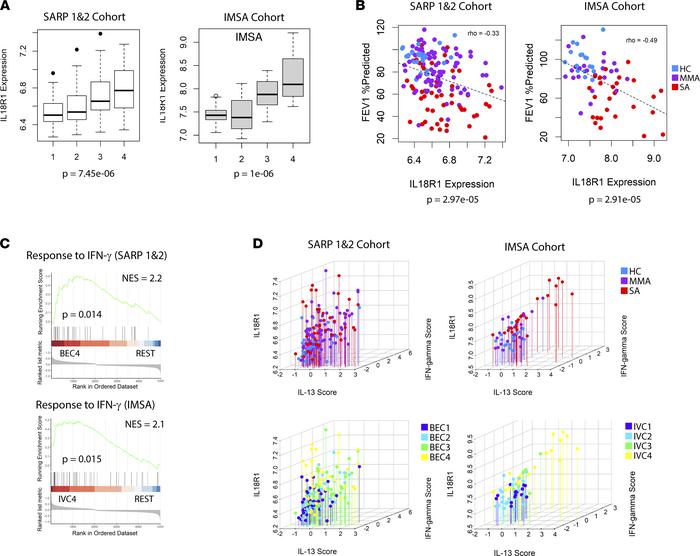 IL-18R1 expression is negatively associated with lung function and linke...