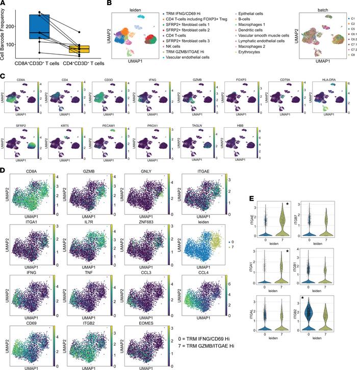 Two subsets of CD8+ TRMs with differential expression of tissue residenc...