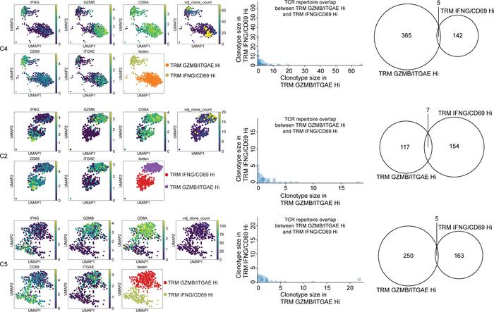 Single-cell TCR clonotype analysis of the human cervix.
Top, middle, and...