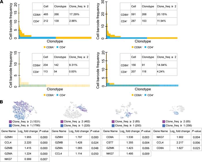 The expanded clonotypes in the human cervix were weighted toward CD8+ T ...