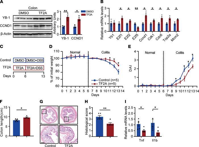 TF2A mimics Gm31629 and ameliorates DSS-induced colitis.
(A and B) Eight...