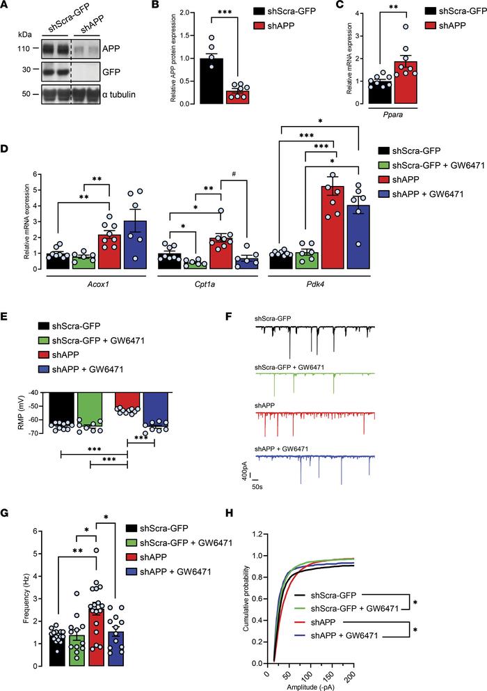 Pharmacological PPARα inhibition with GW6471 prevents APP knockdown–indu...
