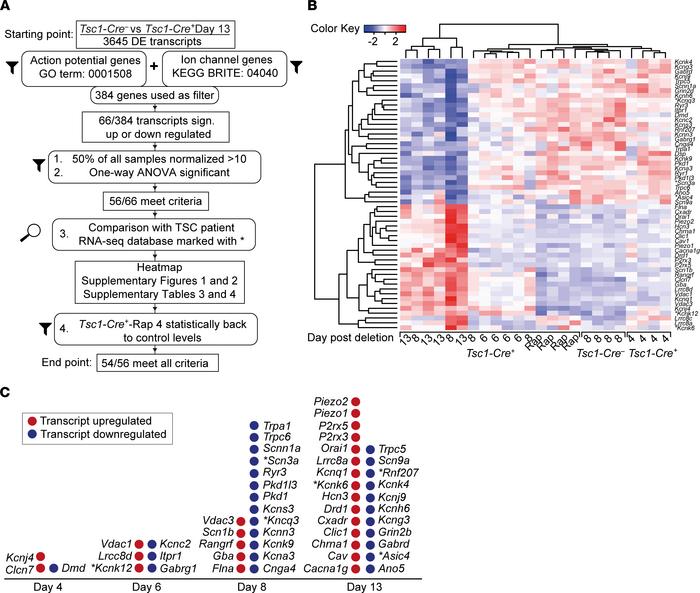 Fifty-four DE ion channel and/or action potential–related transcriptomes...