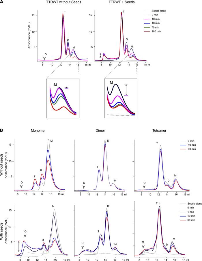 Rapid coaggregation of TTRWT monomers by artificially induced SA-TTR com...