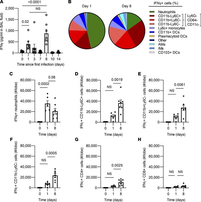 Cellular sources of IFN-γ during pneumococcal pneumonia.
(A) ELISA measu...