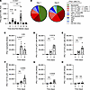 Cellular sources of IFN-γ during pneumococcal pneumonia.