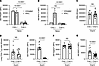 Roles for the IFN-γ receptor on AM in their remodeling after pneumococcus i