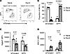 AM from different origins remodel similarly after pneumococcal infections.