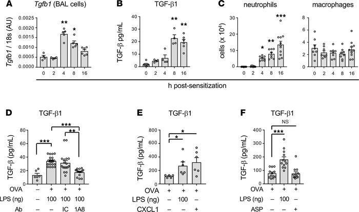 Role of TGF-β in neutrophil-mediated immunosuppression of responses to a...