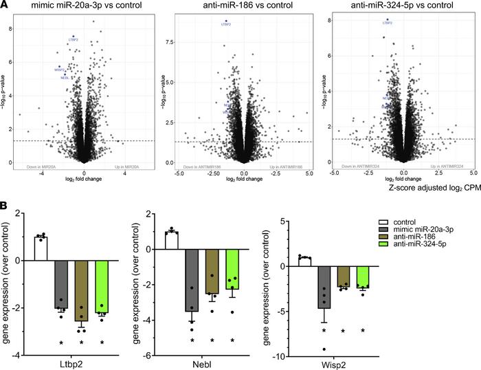 Overexpression of miR-20a-3p and inhibition of miR-186 and miR-324-5p of...