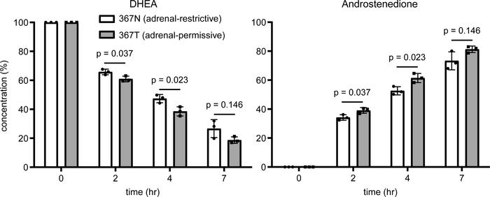 Expression of adrenal-permissive 3βHSD1(367T) in breast cancer cells res...