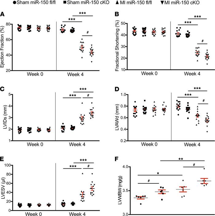 miR-150 selectively in cardiomyocytes protects the mouse heart against M...