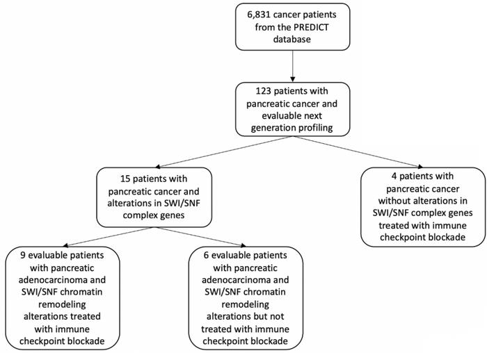 CONSORT diagram.
Pancreatic cancer patients with the aforementioned tumo...