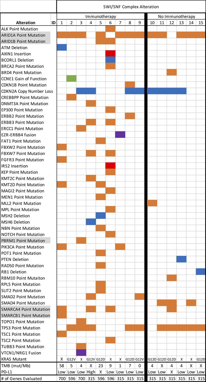 Molecular characteristics of pancreatic cancer patients with SWI/SNF alt...