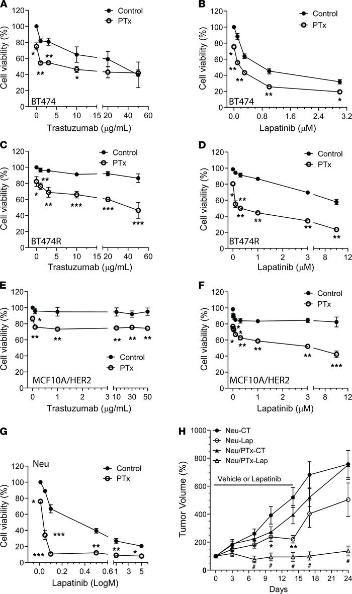 Targeting Gi/o-GPCR signaling by PTx enhances HER2-targeted therapy.
(A–...