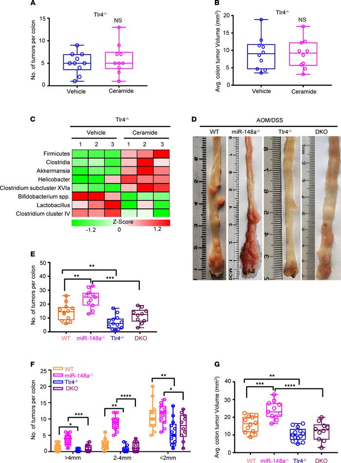 miR-148a depletion promotes CRC growth dependent on ceramide-mediated al...
