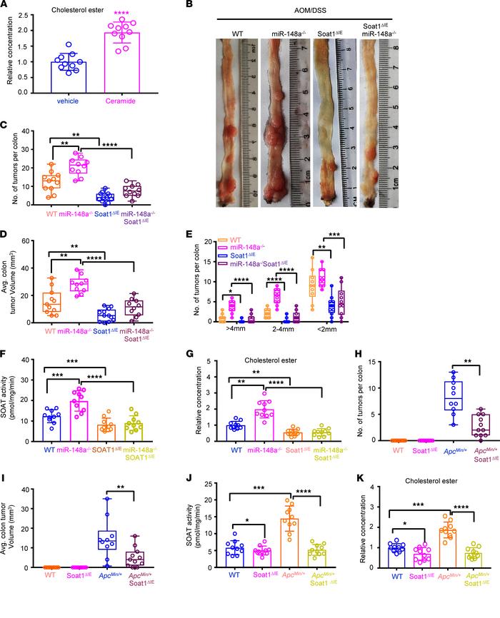 Soat1 loss attenuates intestinal carcinogenesis in miR-148a–/– and ApcMi...