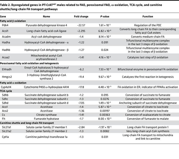 Dysregulated genes in PT-CrATHET males related to FAO, peroxisomal FAO, ...