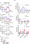 Glycolytic shift in PT-CrATHET tubules in males.