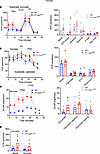 Glycolytic shift in PT-CrATHET tubules in females.
