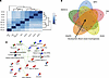 RNA-Seq analysis of SNHG12 and its interacting proteins in vitro.