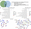 IMP3 is a novel SNHG12-interacting protein.