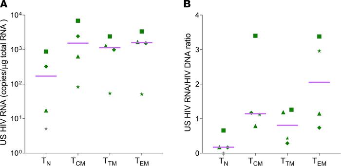 HIV RNA levels in naive and memory cells of CPs.
(A) Levels of US HIV RN...
