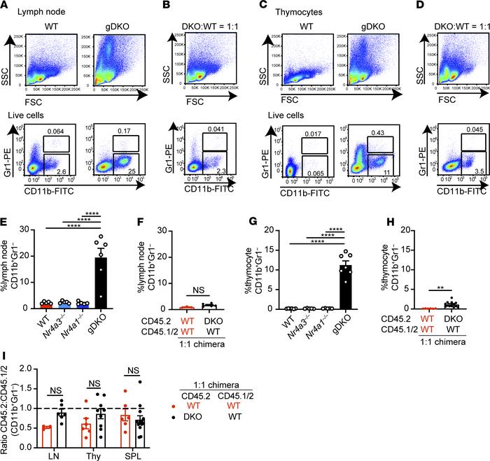 Myeloproliferative disorder in DKO mice is a non–cell-autonomous effect ...