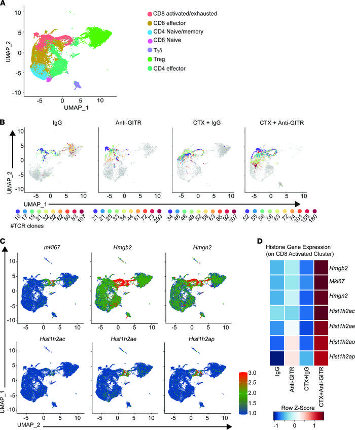 Combination therapy decreases the TCR repertoire by promoting clonal exp...