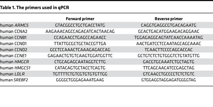 The primers used in qPCR