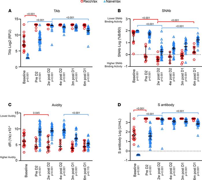 SARS-CoV-2 antibody profile of RecoVax and NaiveVax cohorts from baselin...
