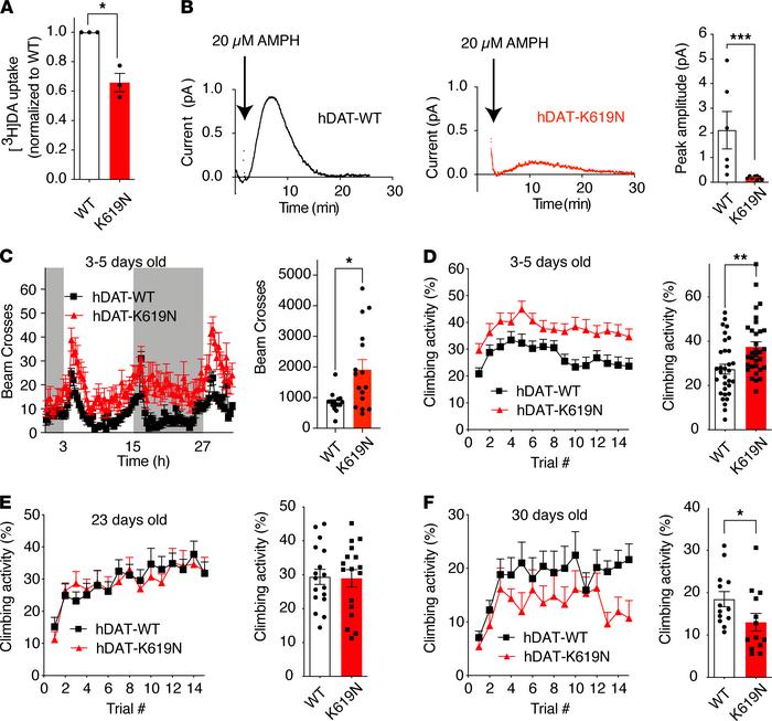 Expression of DAT-K619N drives dopaminergic dysfunction and progressive ...