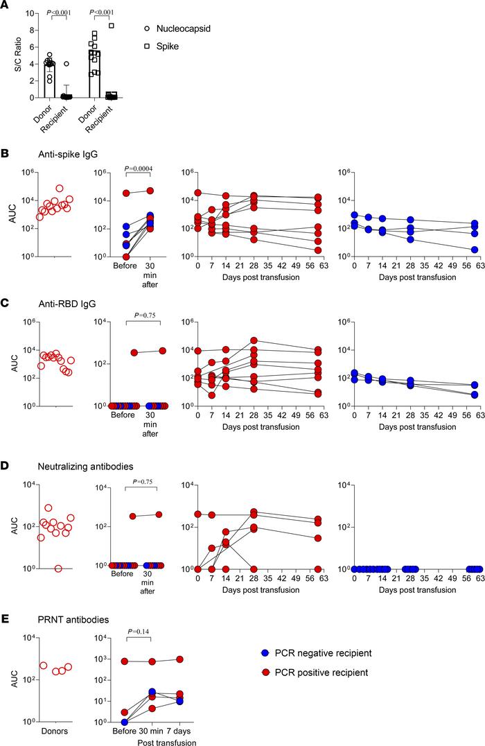 SARS-CoV-2 antibody pharmacokinetics and neutralization capacity in dono...