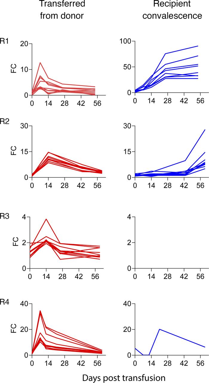 Kinetics of transferred and endogenous pan-coronavirus antibodies.
Plasm...