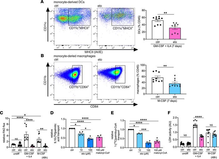 FAO inhibition impairs monocyte-to-DC and monocyte-to-macrophage differe...