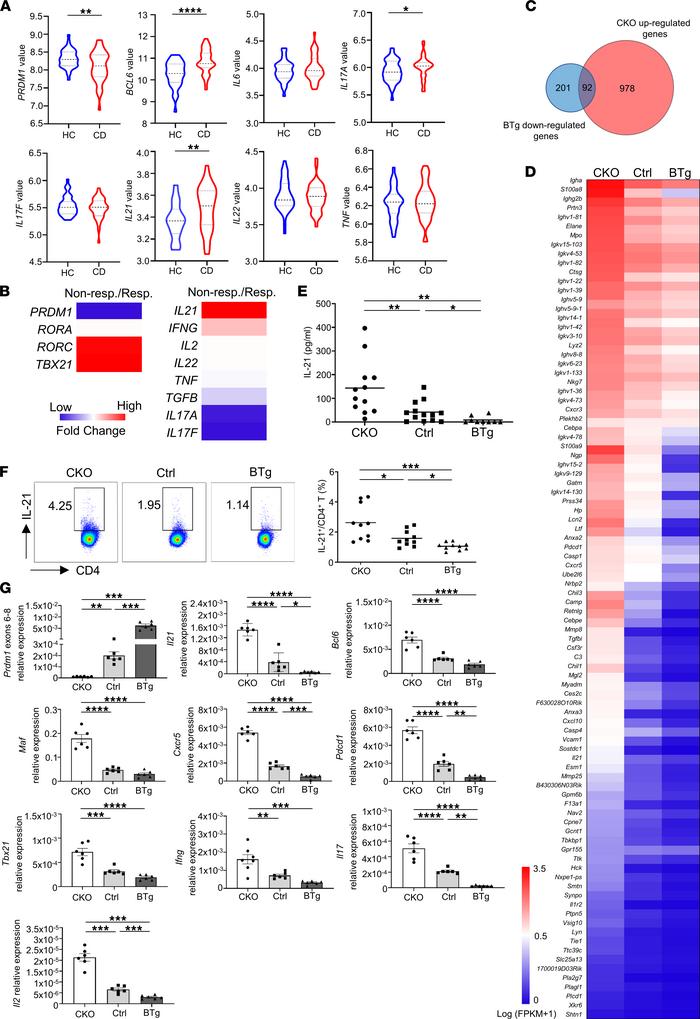 An inverse correlation between Blimp-1 and IL-21 expression is evident i...