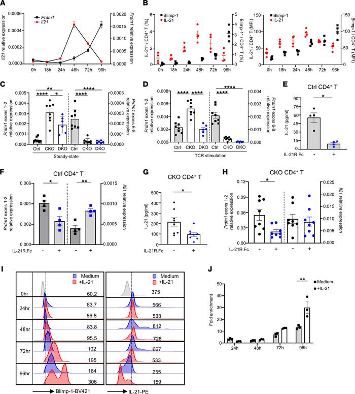 IL-21 triggers Blimp-1 multiplication to suppress its own expression via...
