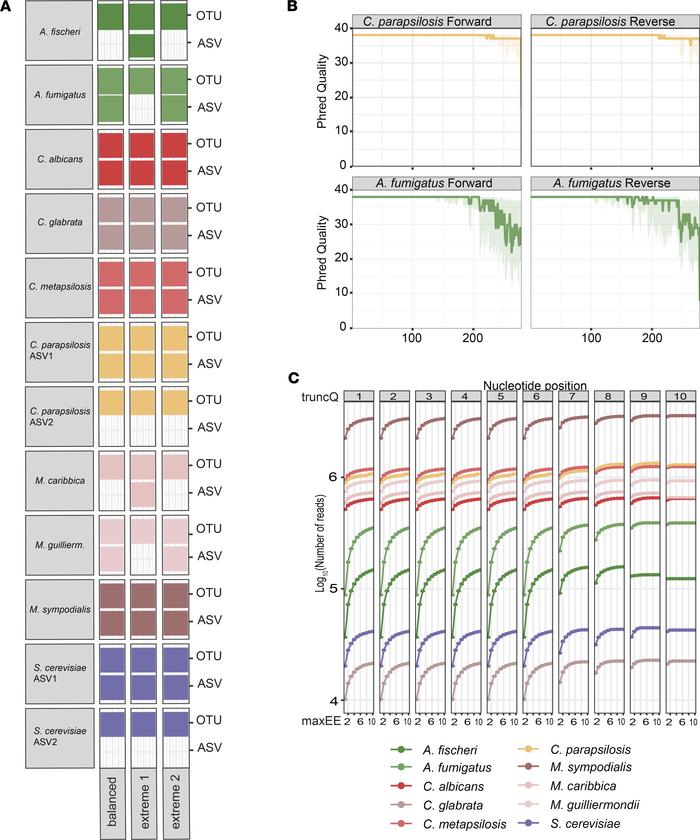 Performance of DADA2 on the mock community data set.
(A) Strain resoluti...