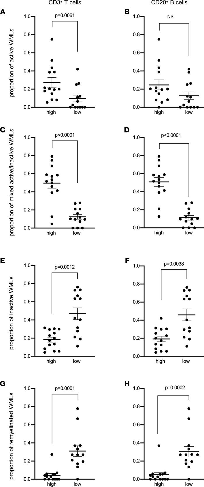 Enrichment of meningeal T cells and B cells is linked to subcortical whi...