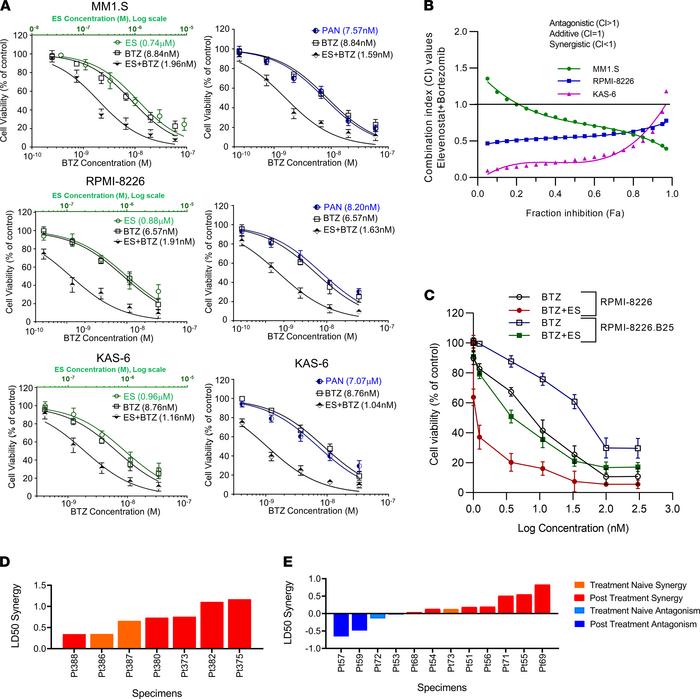 HDAC11 synergizes with proteasome inhibitors in vitro and ex vivo.
(A) H...