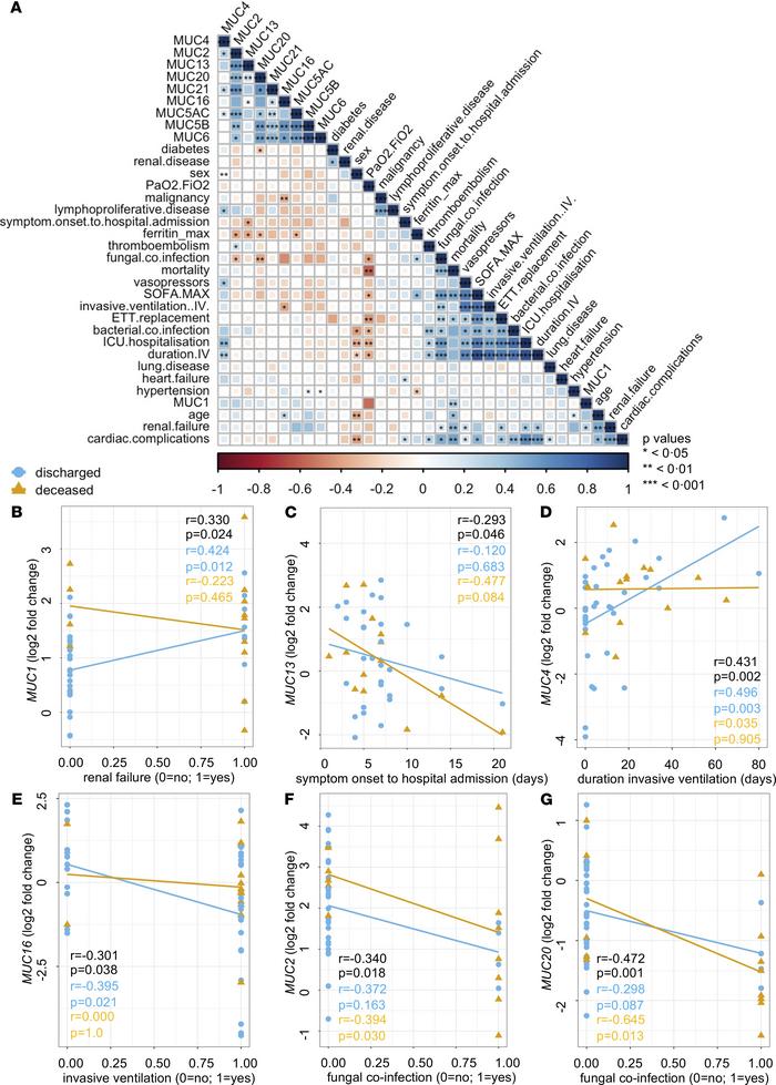Associations of peripheral mucin mRNA expression with the clinical data ...