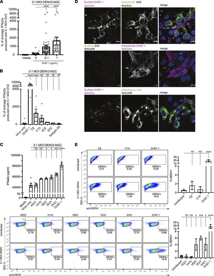 Antibody-mediated IFN upregulation requires binding to a viral epitope o...
