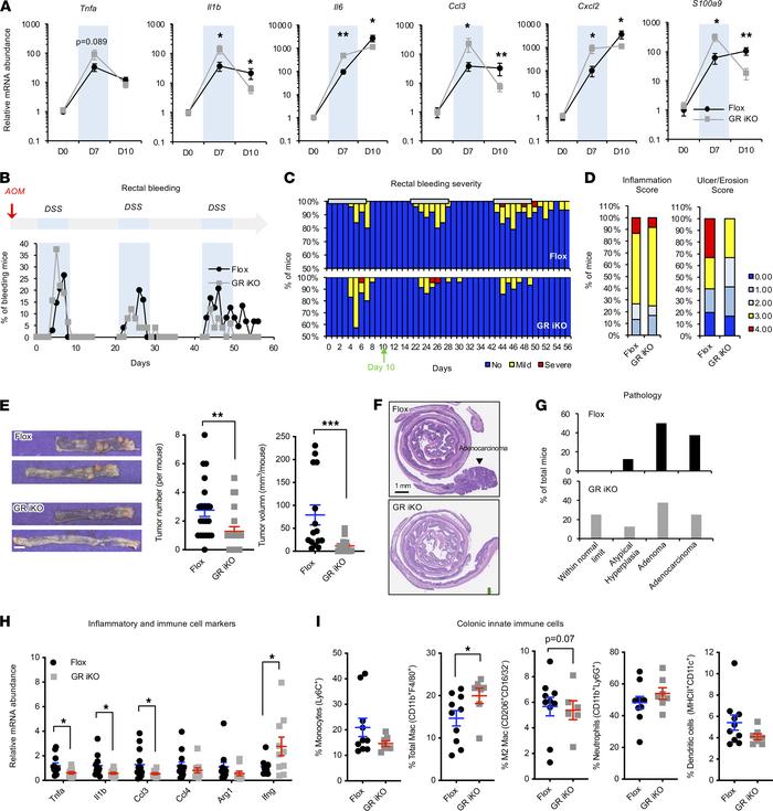 Deletion of intestinal epithelial GR enhances recovery after DSS treatme...