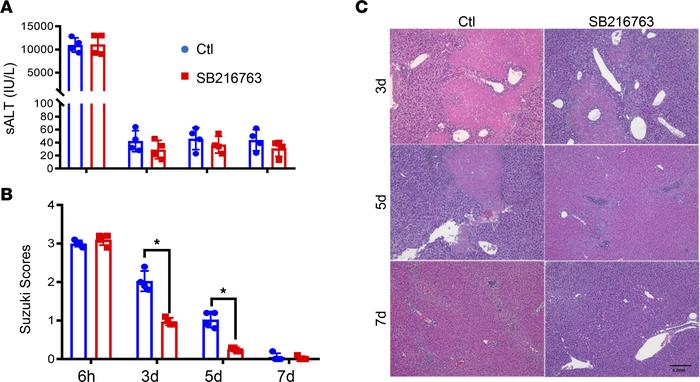 Pharmacological inhibition of Gsk3 facilitates the resolution of liver I...