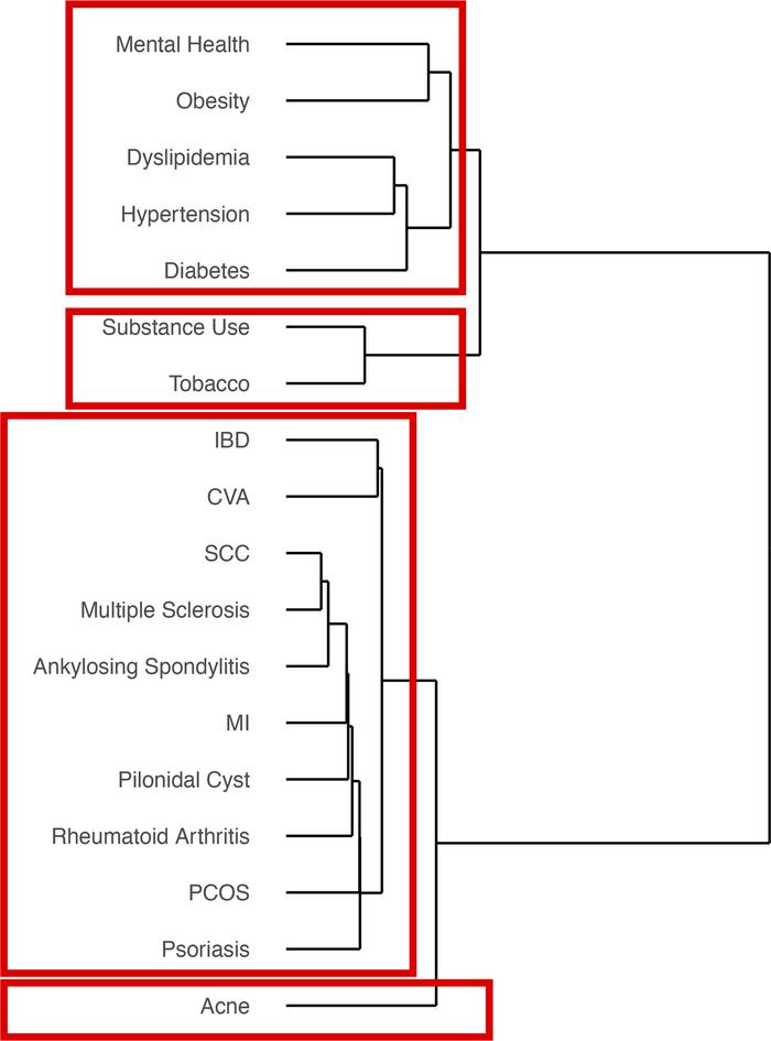 Clustering of comorbidities in HS.
Unsupervised hierarchical clustering ...