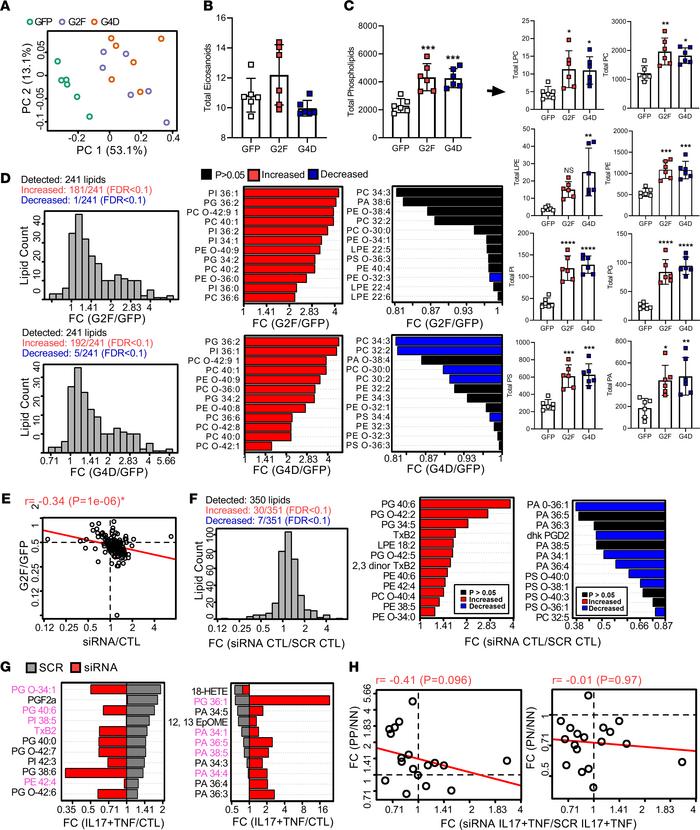 PLA2s modulate phospholipid/eicosanoid profiles in keratinocytes.
(A) Pr...