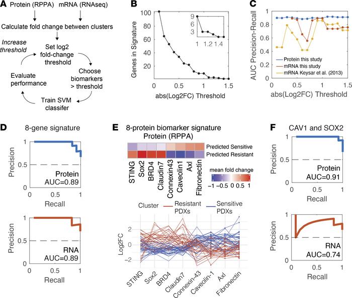 Defining a robust signature for cetuximab response.
(A) Schematic of alg...